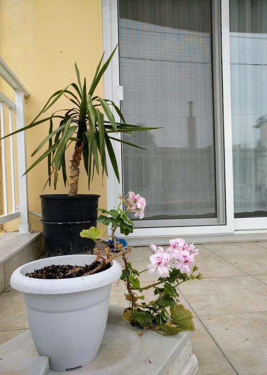 Dimitris Luxury Apartment Keramoti  Extérieur photo